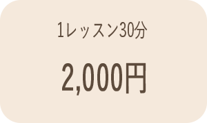 1レッスン30分2000円