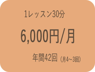 月額6000円（年間42回）1レッスン30分